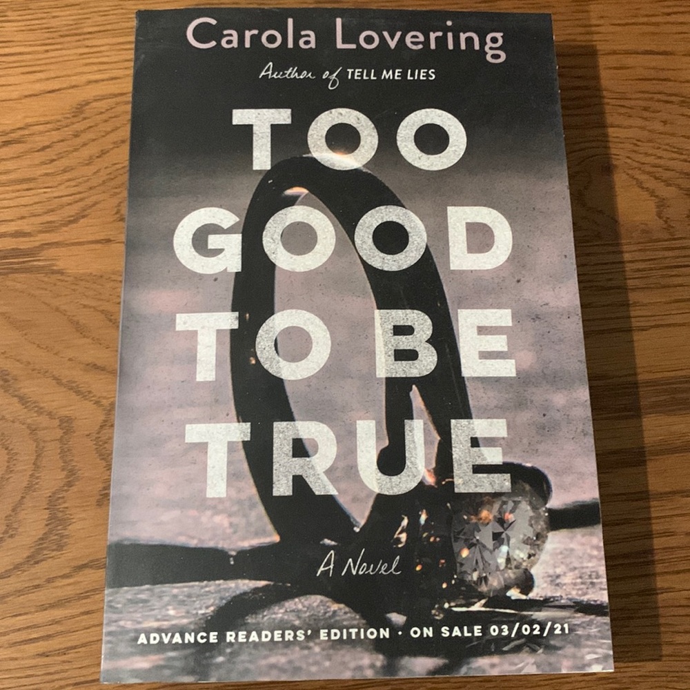 Too Good To Be True by Carola Lovering ARC